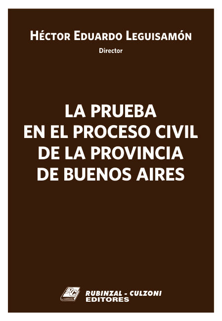 La prueba en el proceso civil de la Provincia de Buenos Aires