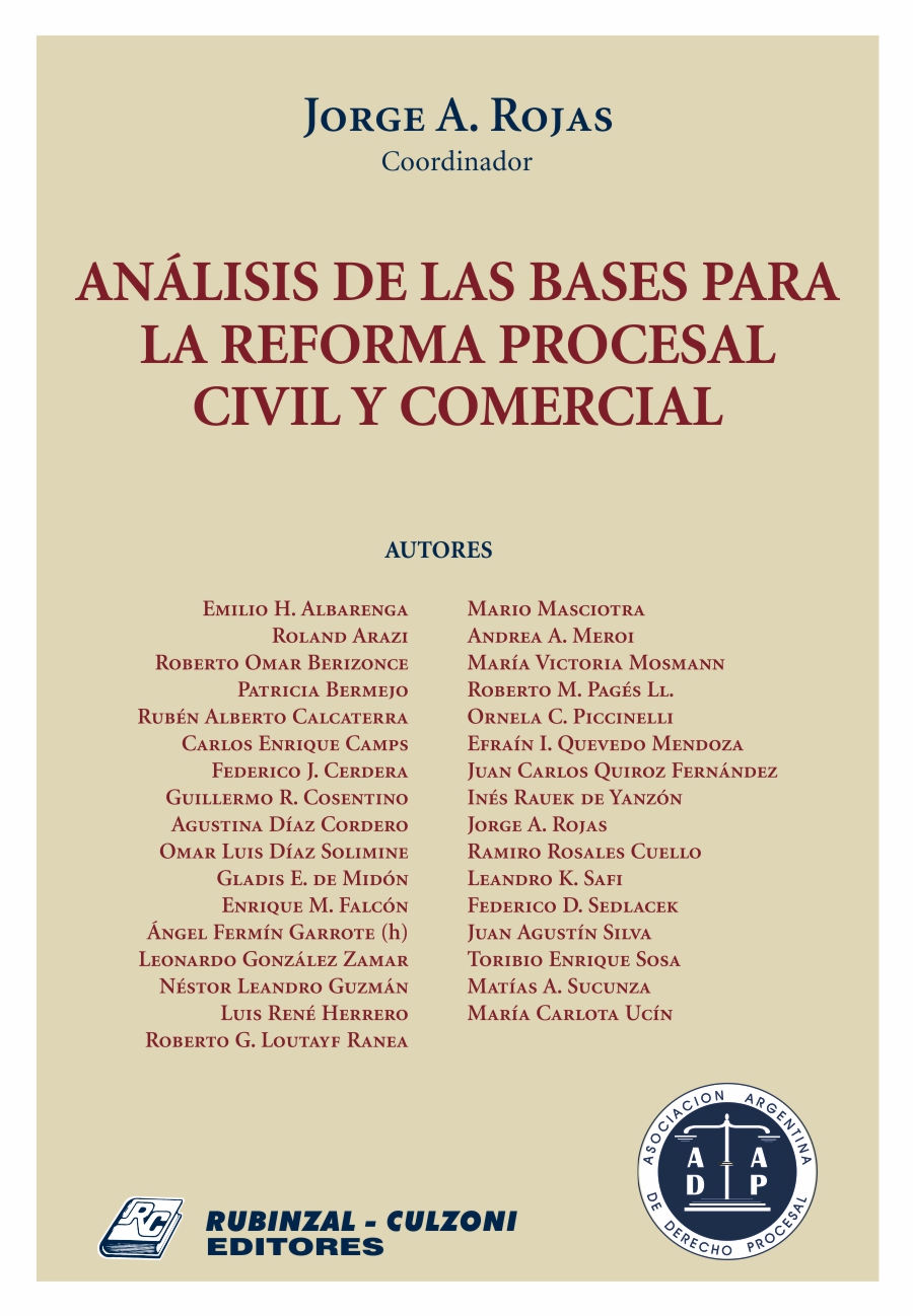 Análisis de las bases para la reforma procesal civil y comercial
