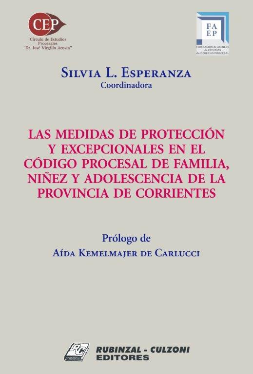 Las medidas de protección y excepcionales en el Código Procesal de Familia, Niñez y Adolescencia de la Provincia de Corrientes