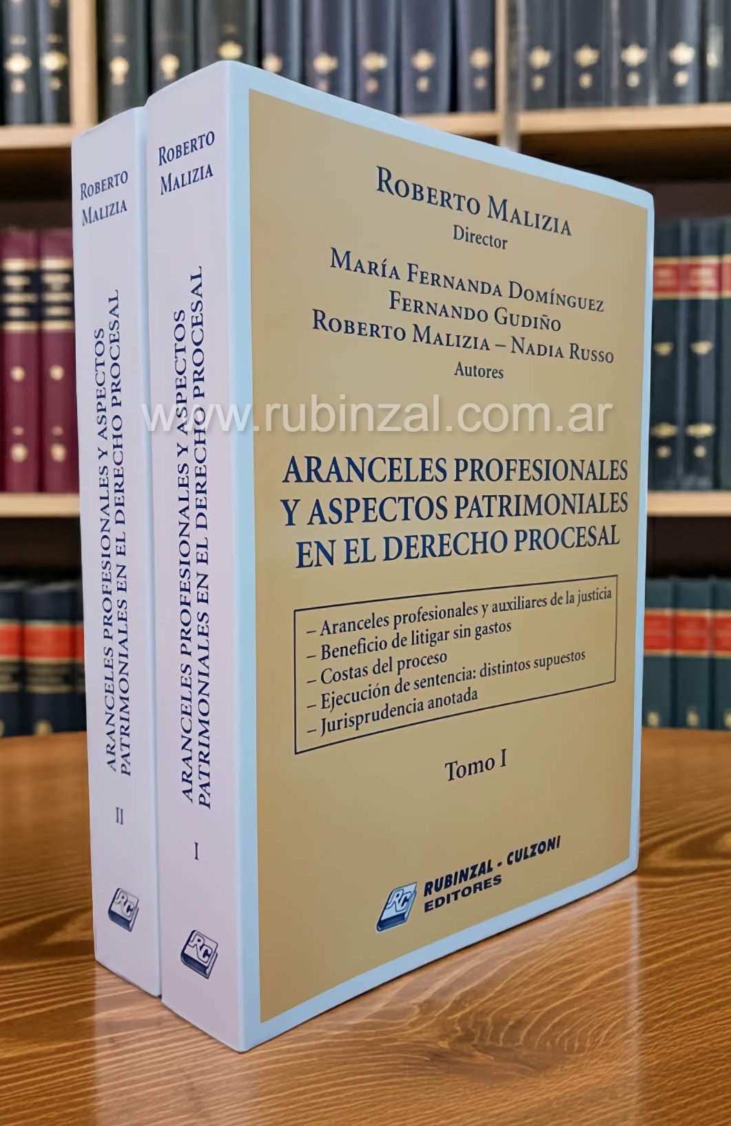 Aranceles profesionales y aspectos patrimoniales en el Derecho Procesal