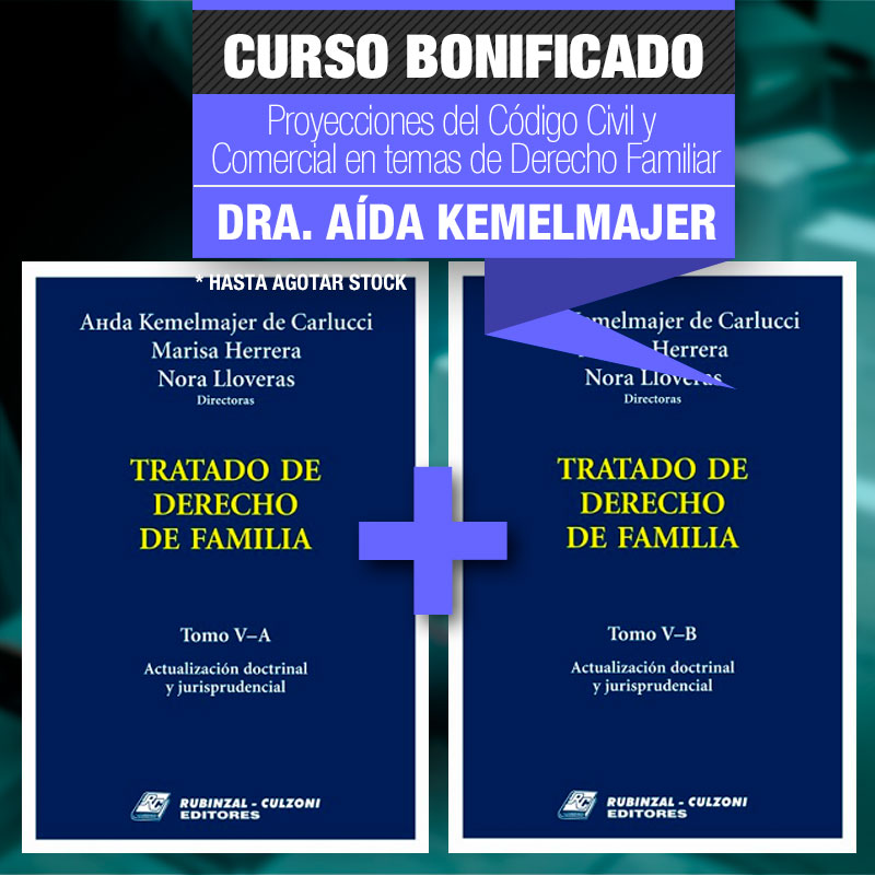Tratado de Derecho de Familia - Tomo V A y B